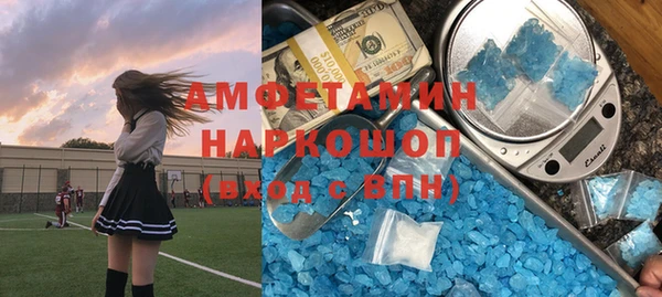 ГАЛЛЮЦИНОГЕННЫЕ ГРИБЫ Лагань