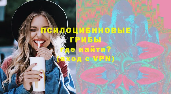 шишки Краснослободск