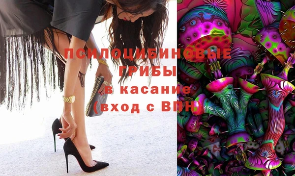 хмурый Ладушкин
