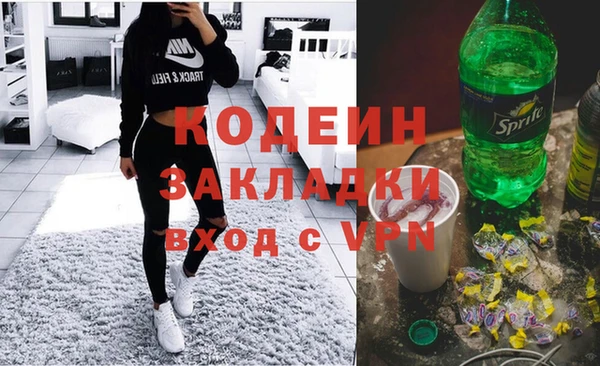 шишки Краснослободск