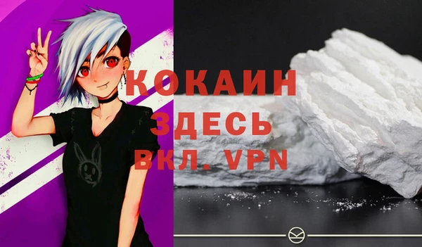 ГАЛЛЮЦИНОГЕННЫЕ ГРИБЫ Лагань