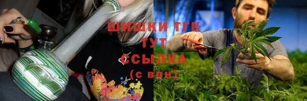 шишки Краснослободск